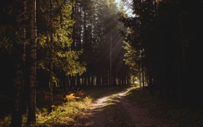 Wrzesień ’17