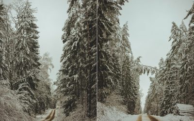 Grudzień ’17